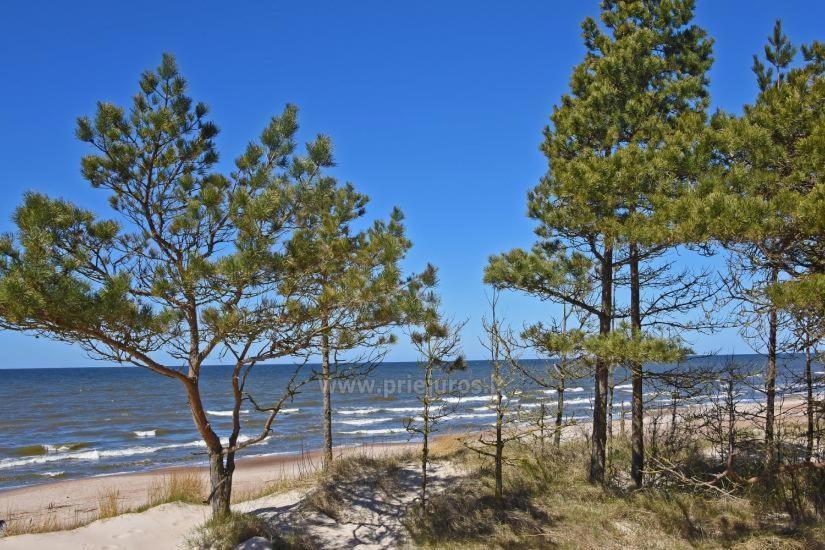 Optimistas Lejlighed Palanga Eksteriør billede